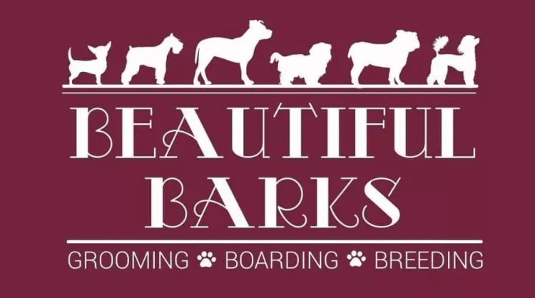 Beautiful Barks, Alabama, Birmingham
